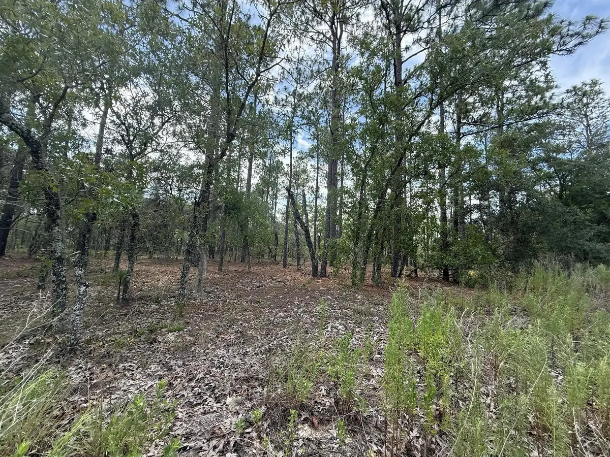 Tbd NW Tree Top Road, Dunnellon, FL 34431 - Image #1