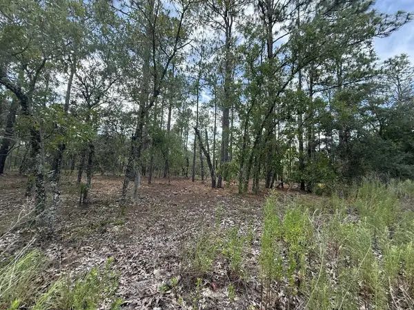 Tbd NW Tree Top Road, Dunnellon, FL 34431