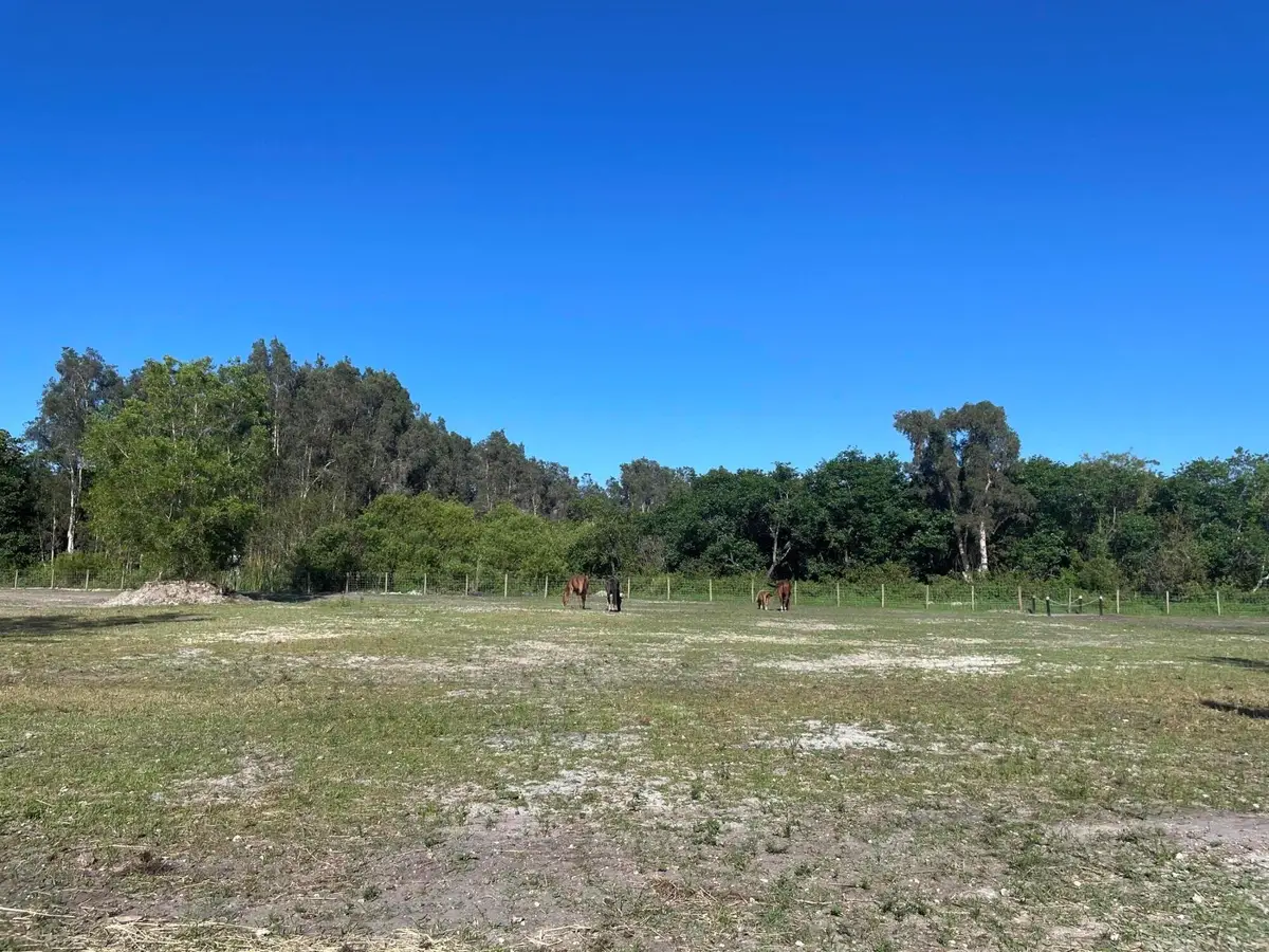 12398 Tangerine Boulevard, West Palm Beach, FL 33412 - Image #1