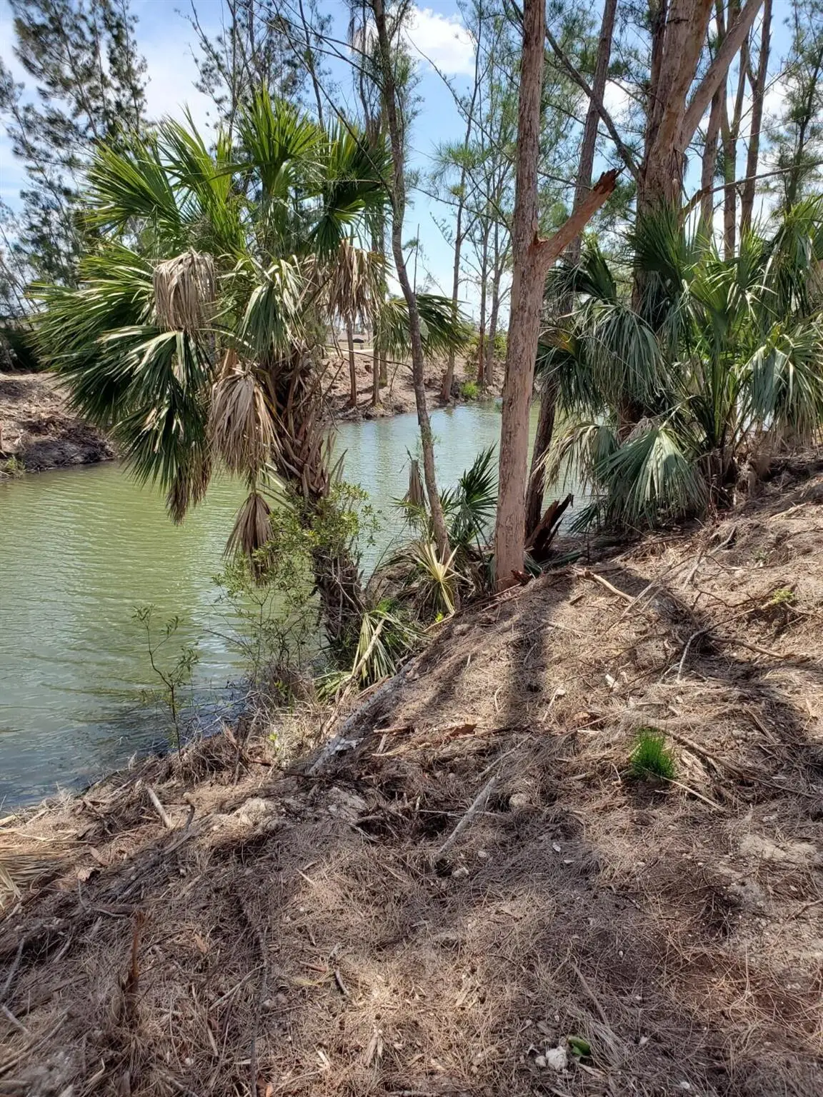 3905 NE 9th Avenue, Cape Coral, FL 33909 - #1