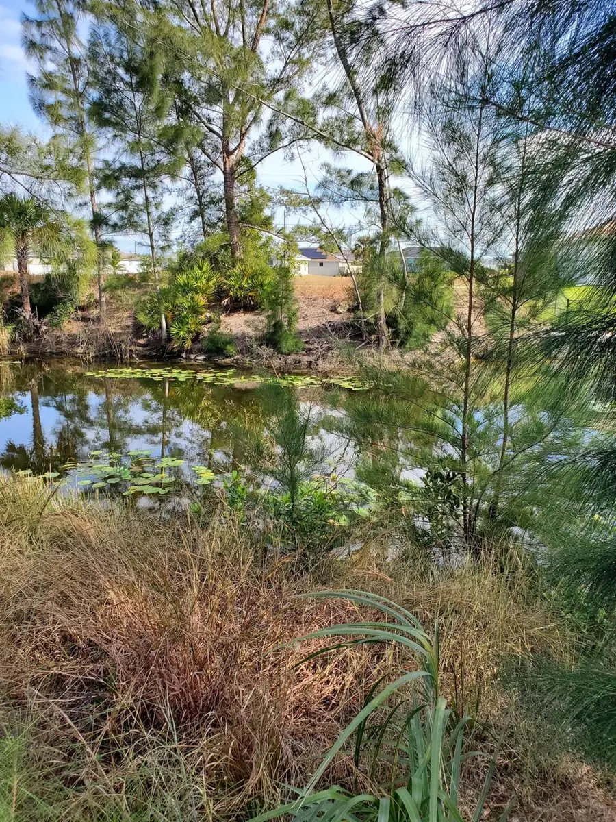 3905 NE 9th Avenue, Cape Coral, FL 33909 - #2