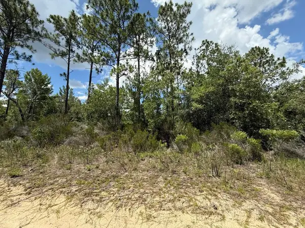 187 Paris Street, Interlachen, FL 32148