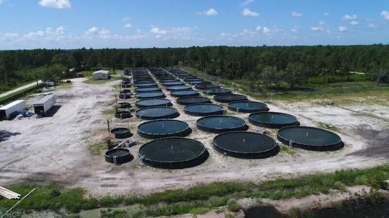 330 N Verda Street, Clewiston, FL 33440 - Image #1