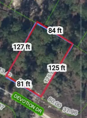 499 Devotion Drive, Lake Placid, FL 33852 - Image #3