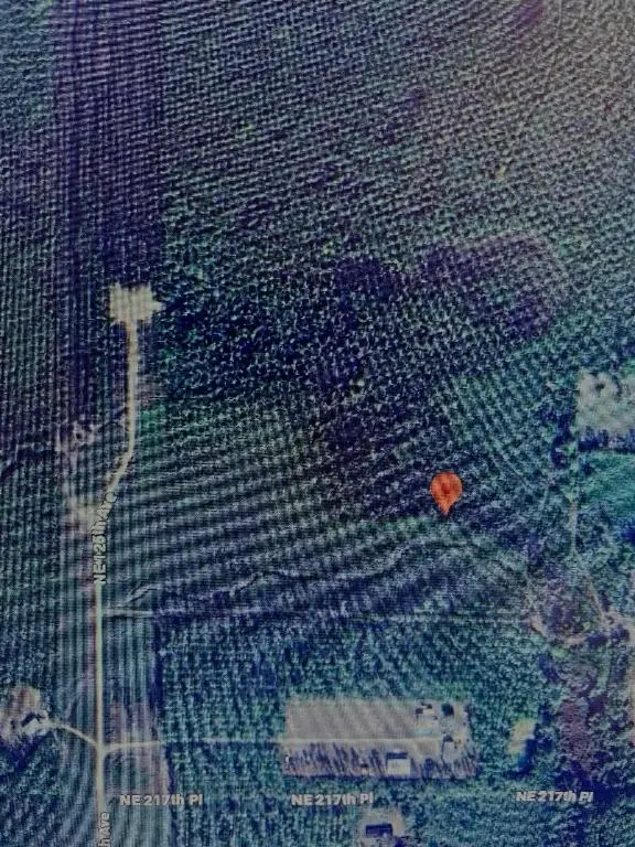 Tbd Ne 125th Ave, Fort McCoy, FL 32134