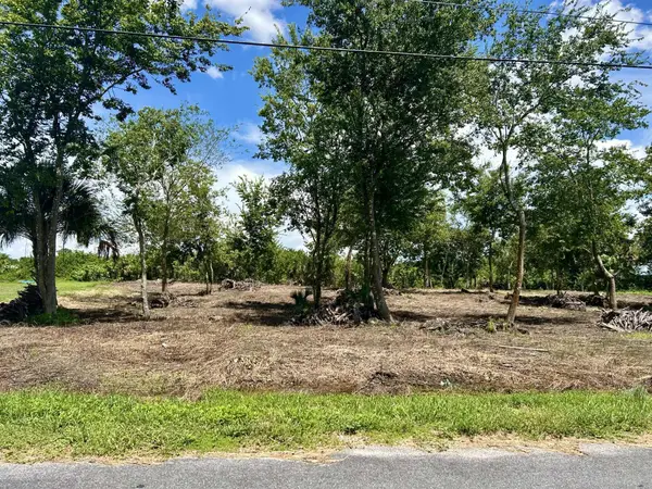 Lot 16 Foxmoor Street, Moore Haven, FL 33471
