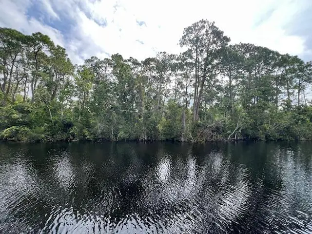 1123 Greenfield Street, Lake Placid, FL 33852 - Image #3