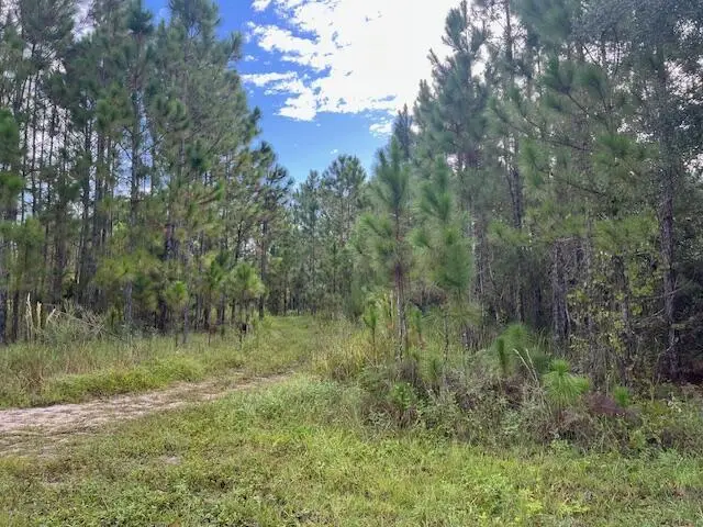 1135 Greenfield Street, Lake Placid, FL 33852 - Image #2