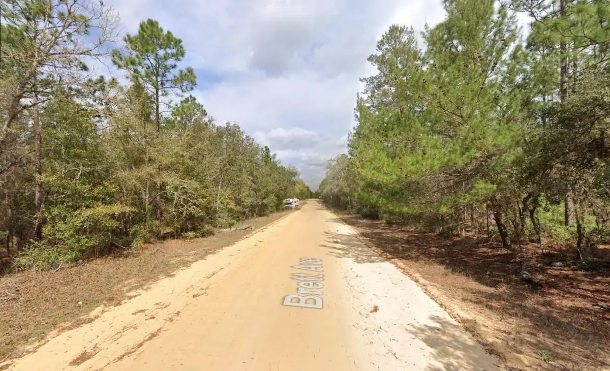 421 Brett Avenue, Interlachen, FL 32148 - Image #1