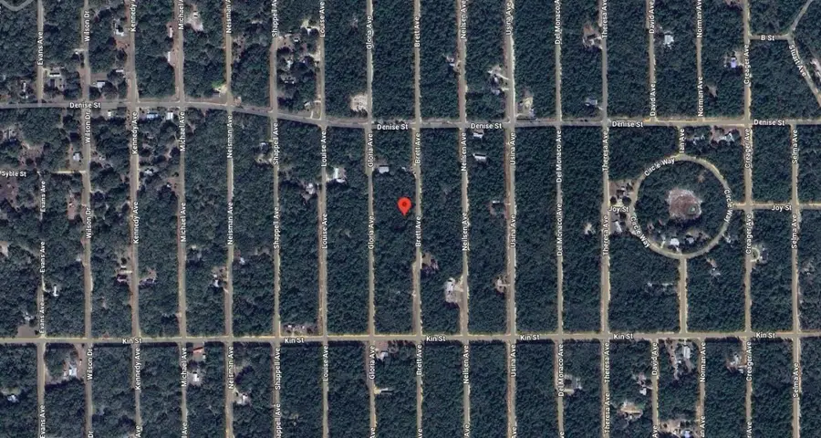 421 Brett Avenue, Interlachen, FL 32148 - Image #3