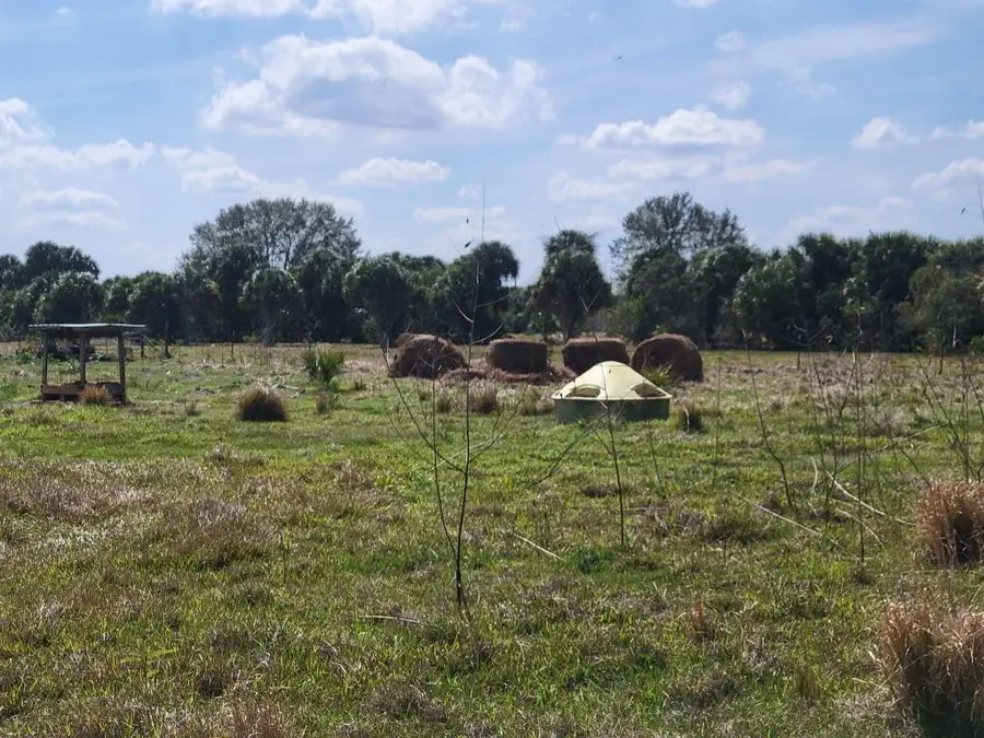 0 Cabbage Drive, Okeechobee, FL 34974 - Image #3