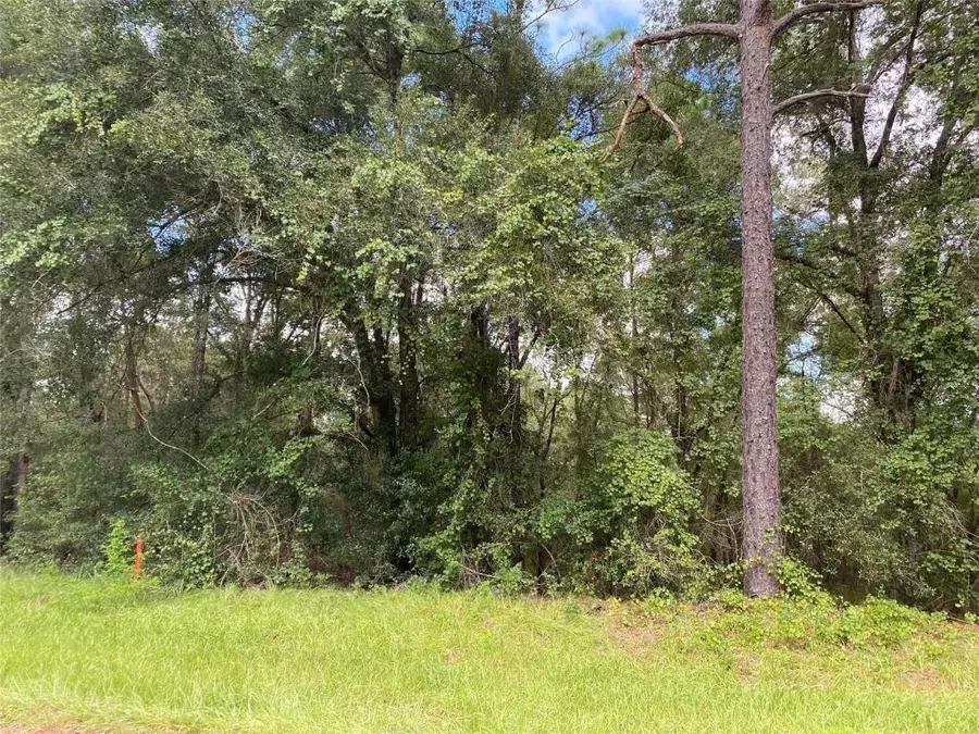 425 E Elgrove Drive, Citrus Springs, FL 34434 - #3