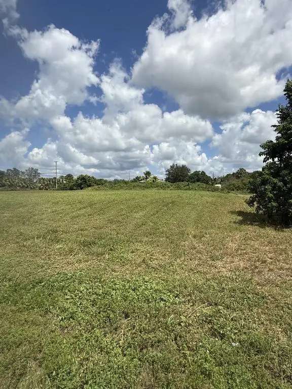 0 0 Mandarin Boulevard, The Acreage, FL 33470 - Image #2
