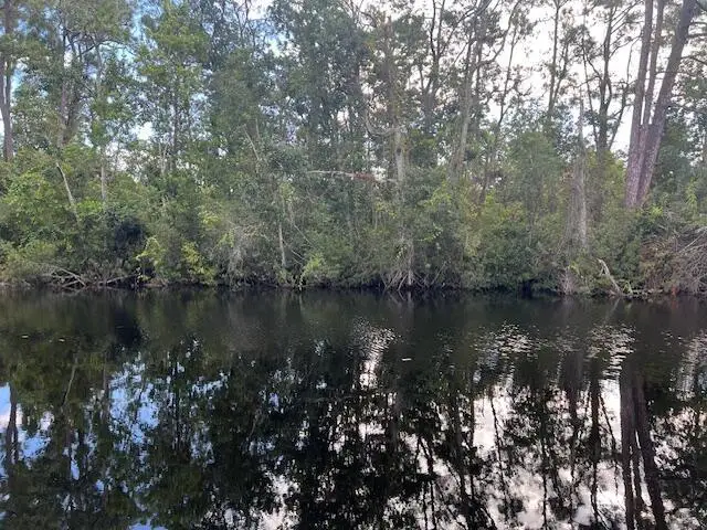 1131 Greenfield Street, Lake Placid, FL 33852 - Image #2