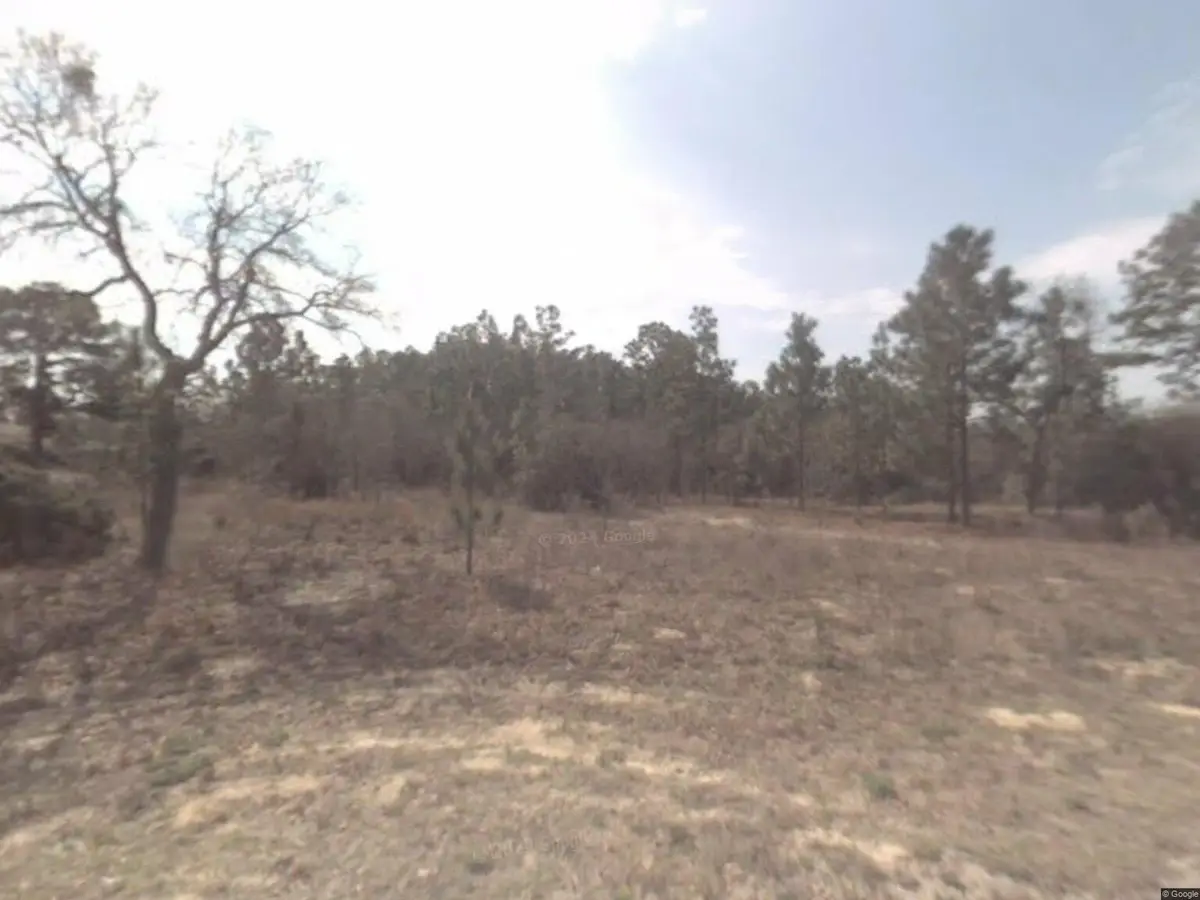 6632 N Sand Drive, Citrus Springs, FL 34433 - Image #1