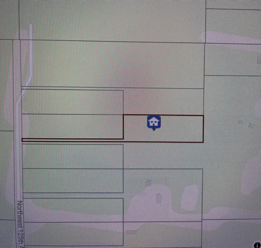 Tdb Ne 125th Ave, Fort McCoy Anthony, FL 32134 - Image #2