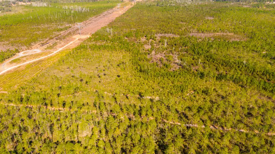 Tdb Ne 125th Ave, Fort McCoy Anthony, FL 32134 - #3