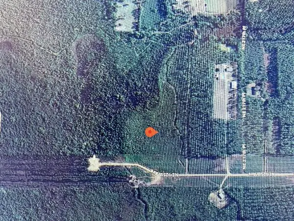 Tbd Ne 125th Ave, Fort McCoy, FL 32134