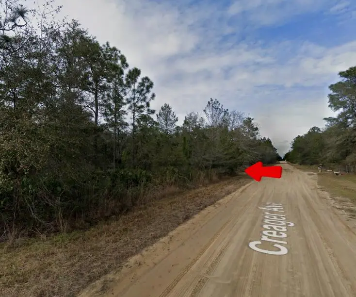 005 Creager Avenue, Interlachen, FL 32148 - Image #1