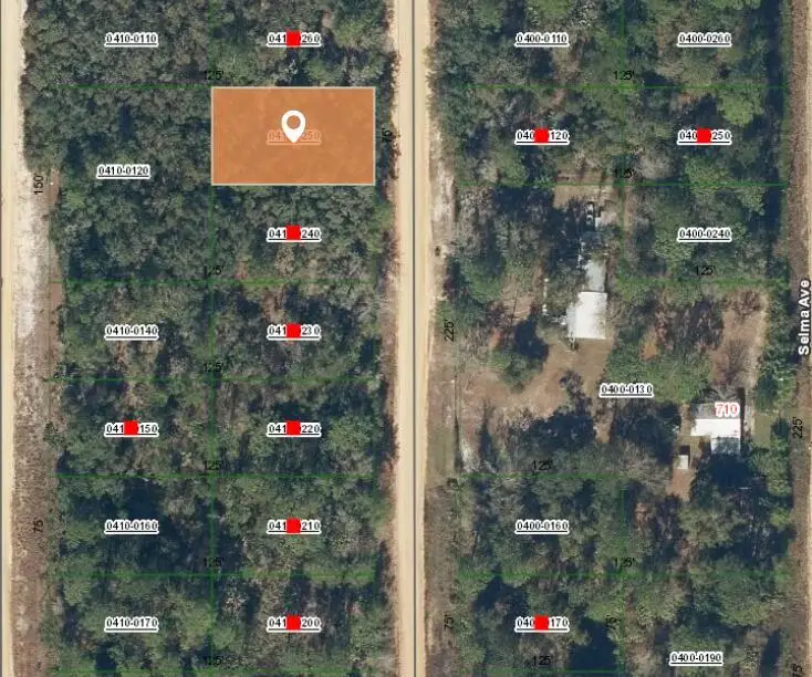 006 Creager Avenue, Interlachen, FL 32148 - Image #2