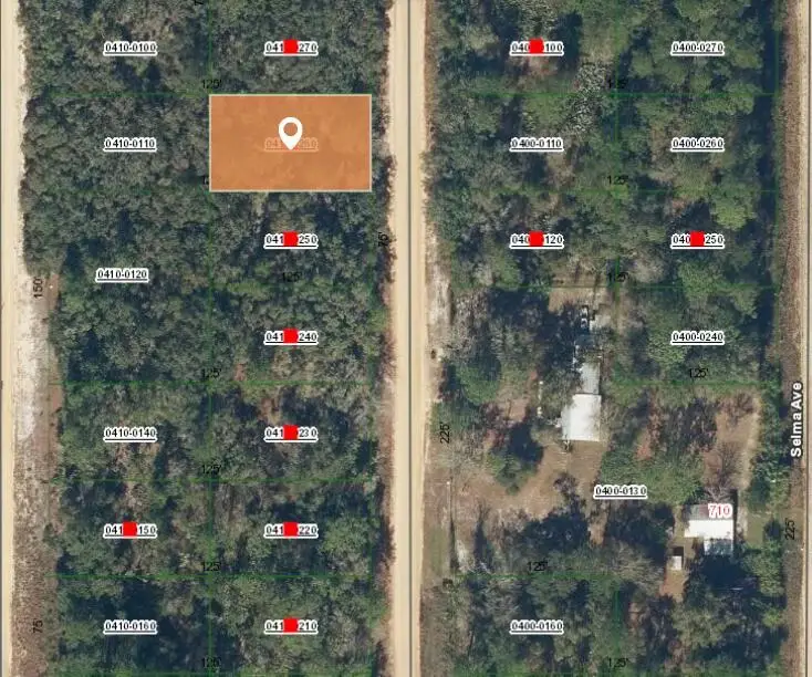 007 Creager Avenue, Interlachen, FL 32148 - Image #2