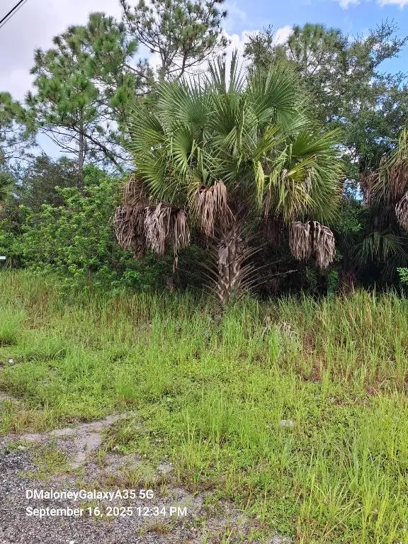 3067 Cambria Avenue Sw, Palm Bay, FL 32908 - #2