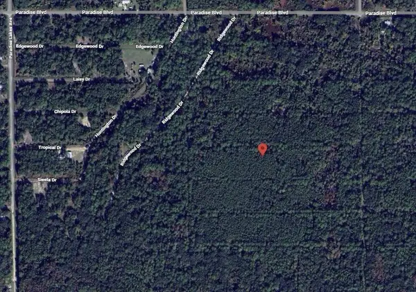 317 Tropical Drive, Georgetown, FL 32139
