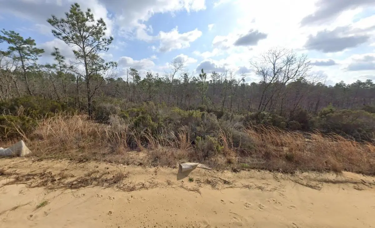 206 Marion Trail, Interlachen, FL 32148 - Image #1