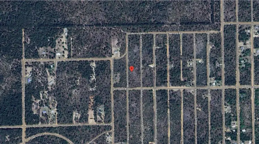 206 Marion Trail, Interlachen, FL 32148 - Image #3