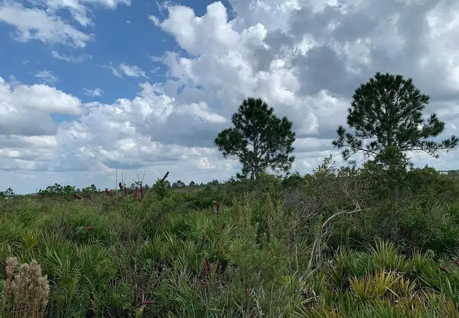 48341 Bermont Road, Punta Gorda, FL 33982 - #2