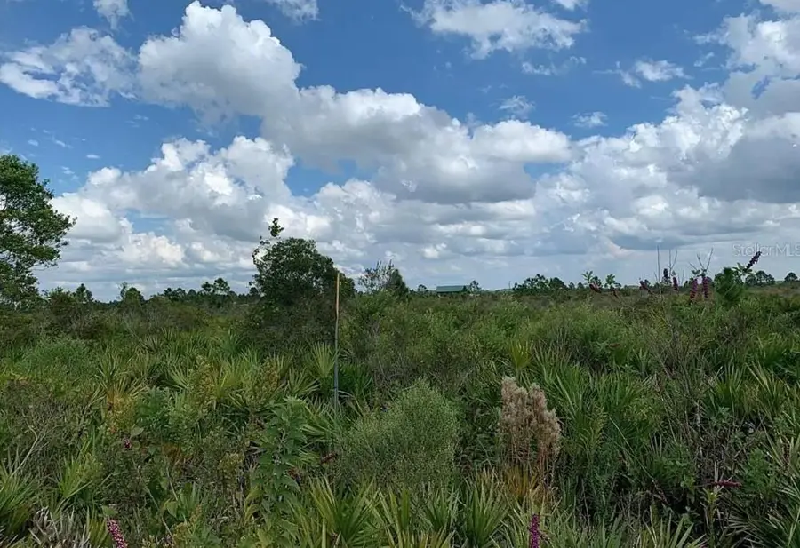 48341 Bermont Road, Punta Gorda, FL 33982 - #3