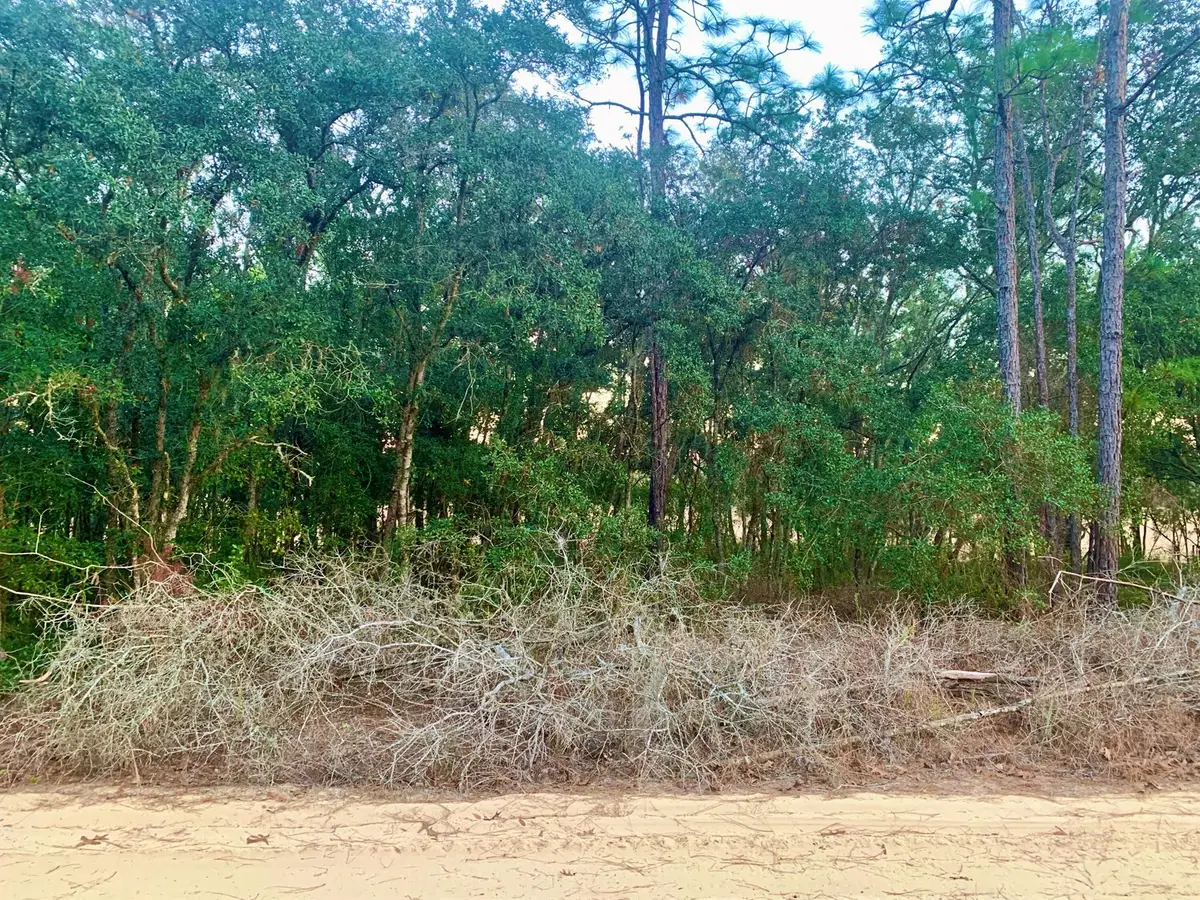 301 S Crestview Avenue, Inverness, FL 34452 - Image #1