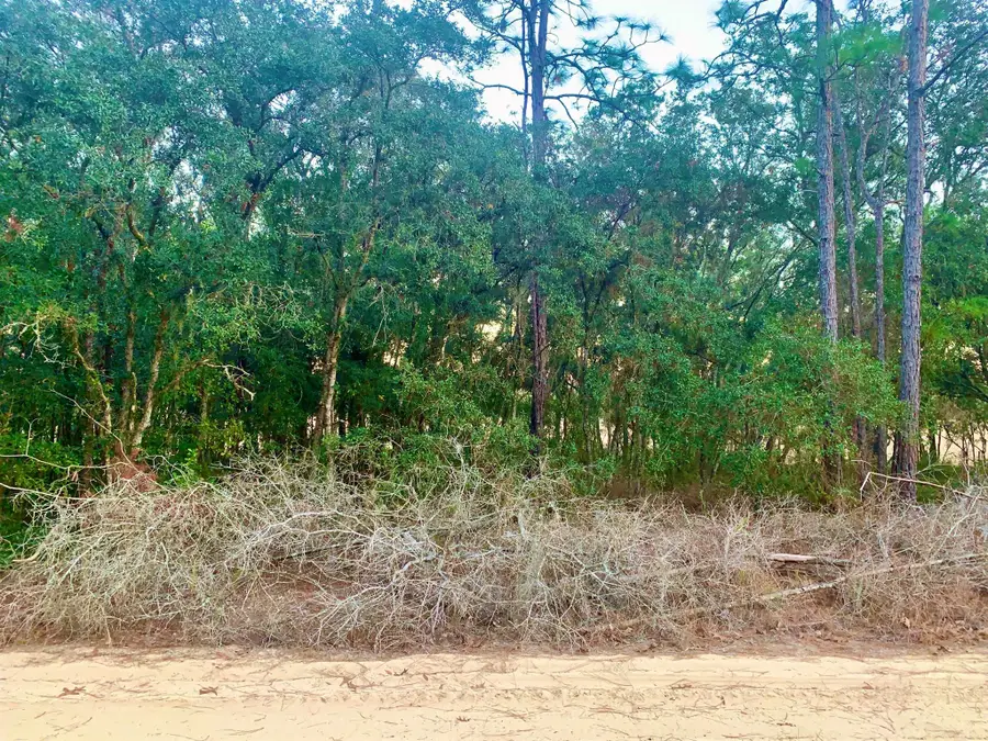 301 S Crestview Avenue, Inverness, FL 34452 - Image #2