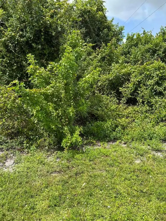 4474 SW Gainsboro Street, Port Saint Lucie, FL 34953 - Image #3