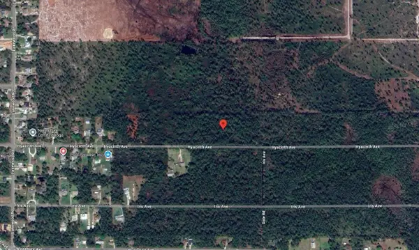 1016 Hyacinth Avenue Avenue, Sebring, FL 33875