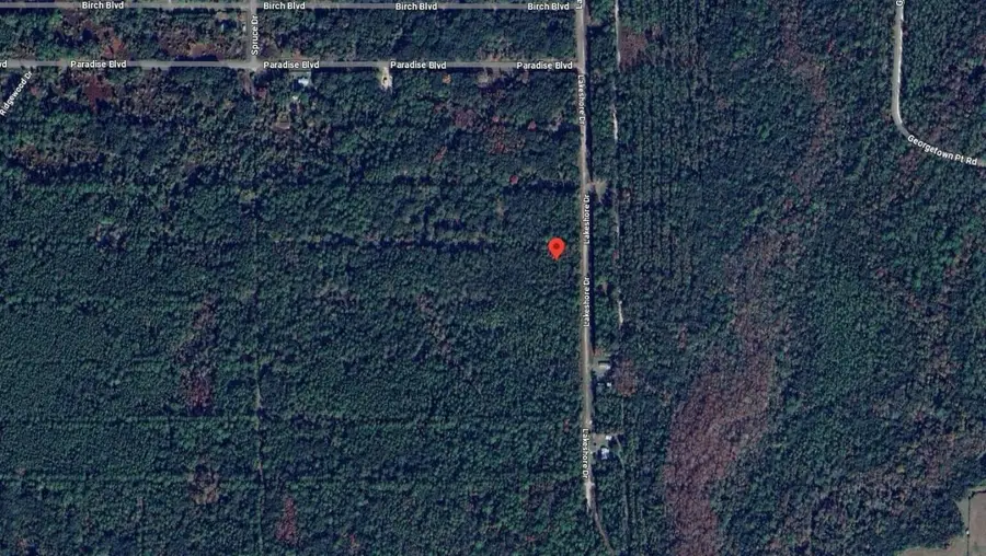 339 Chipola Drive, Georgetown, FL 32139 - Image #2