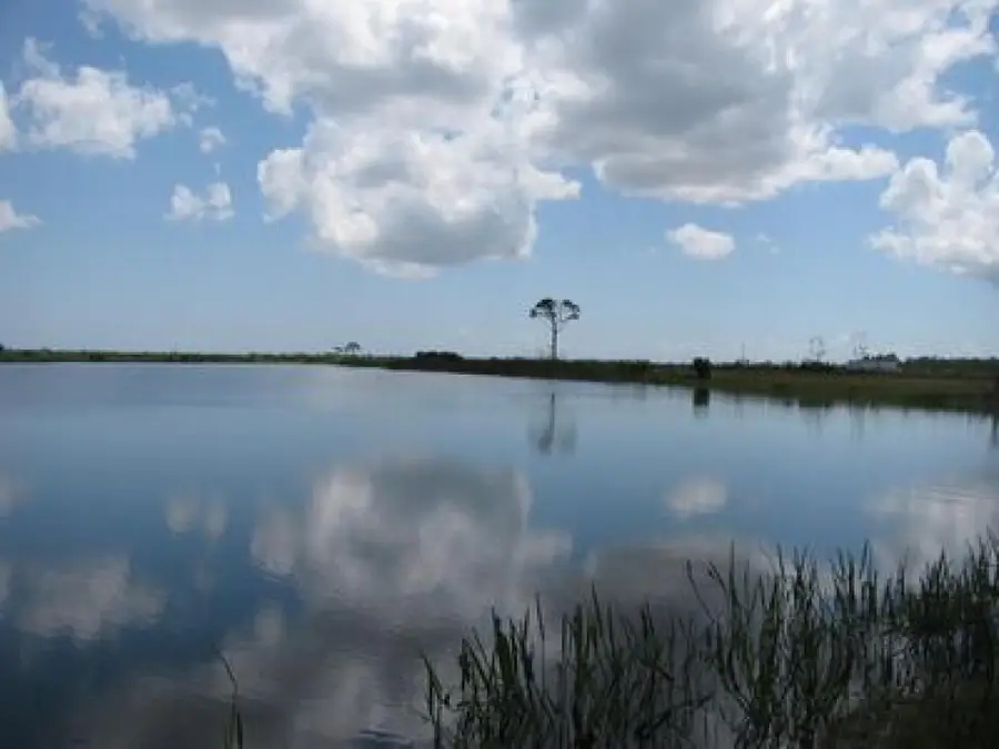 6351 SW Pentalago Circle, Palm City, FL 34990 - #2