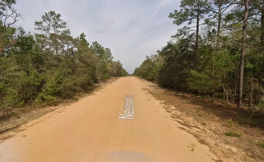 314 Neisman Avenue, Interlachen, FL 32148 - #2