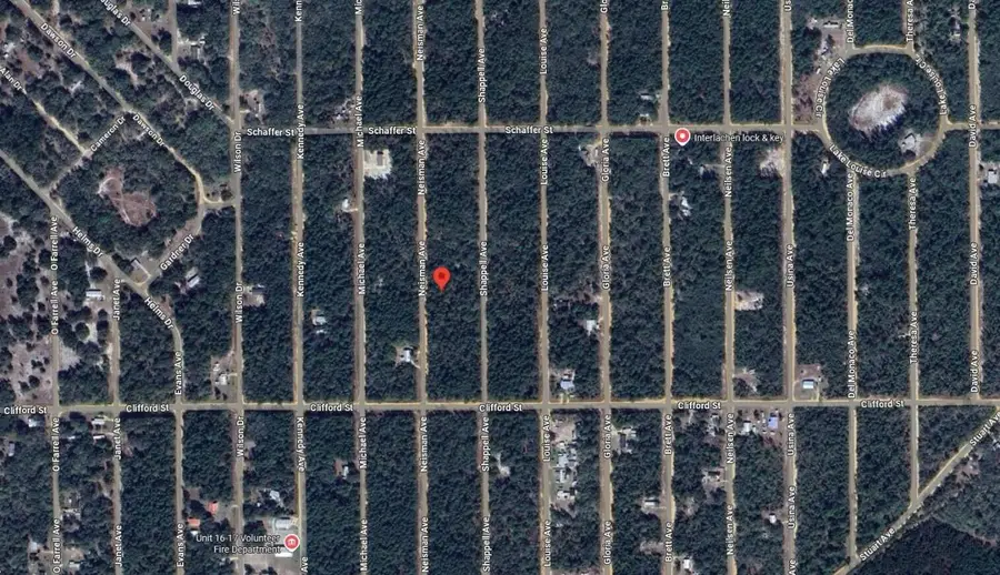 314 Neisman Avenue, Interlachen, FL 32148 - #3