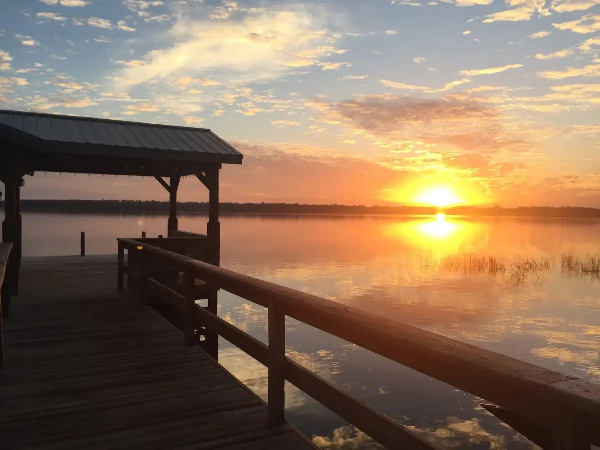 33604 Picciola Drive, Fruitland Park, FL 34731 - Image #1