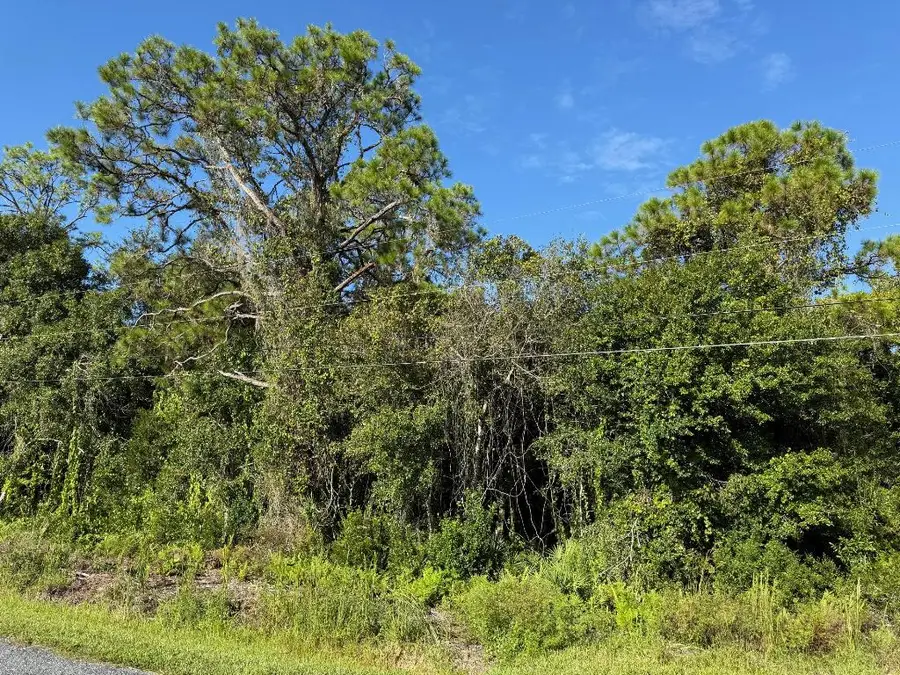 0 Magnolia Drive, Okeechobee, FL 34972 - Image #3