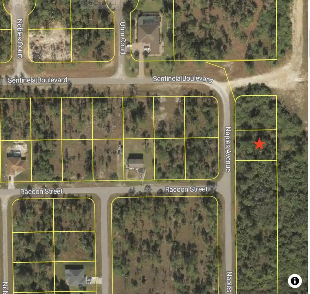 121 Naples Avenue S, Lehigh Acres, FL 33974 - Image #1