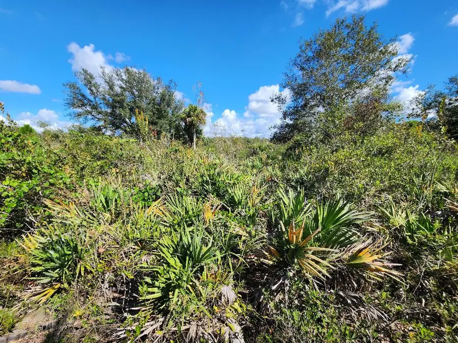 17707 NW 274th Street, Okeechobee, FL 34972 - #2