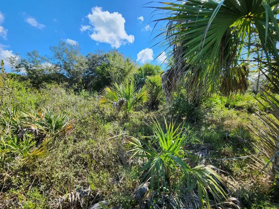 17707 NW 274th Street, Okeechobee, FL 34972 - #3