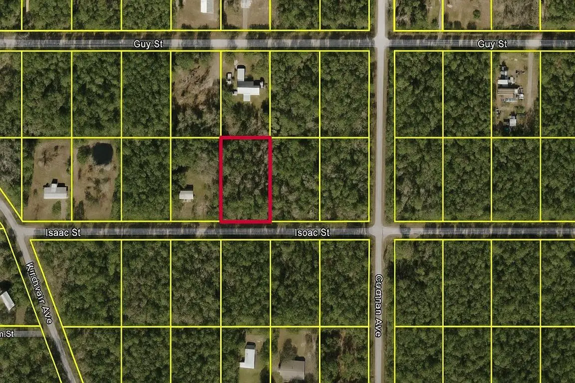 4220 Isaac Street, Hastings, FL 32145 - #1