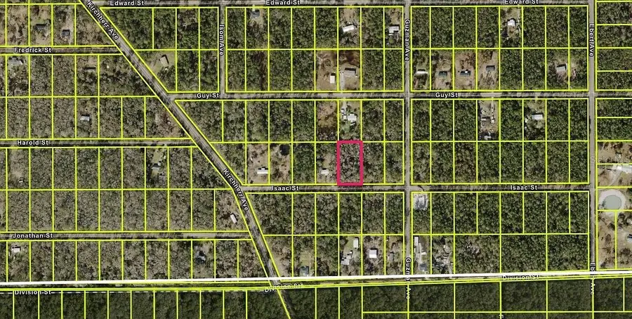 4220 Isaac Street, Hastings, FL 32145 - #2