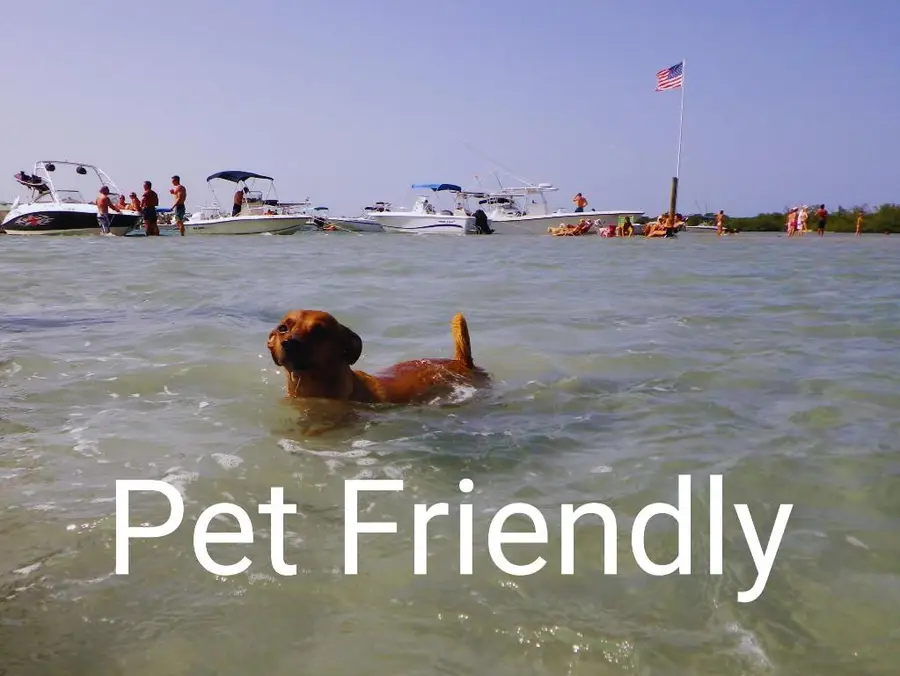 6375 Riverwalk Lane #4, Jupiter, FL 33458 - Image #2