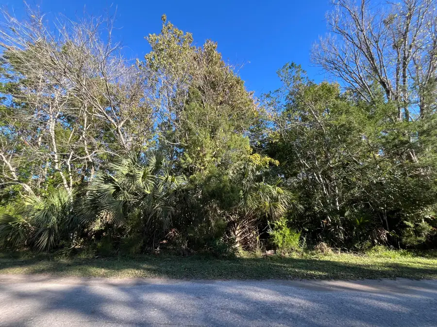 9667 S Lotus Point, Homosassa, FL 34448 - #2