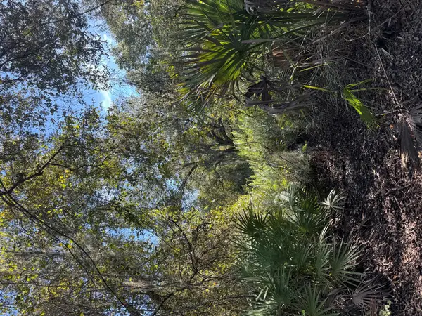 0 NW 294th Street, Okeechobee, FL 34972