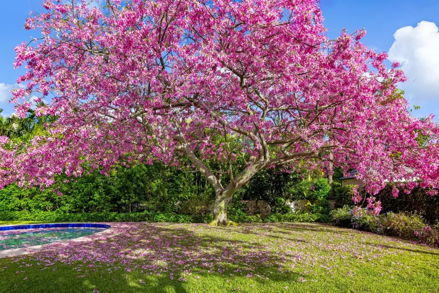 334 Barton Avenue, Palm Beach, FL 33480 - Image #3